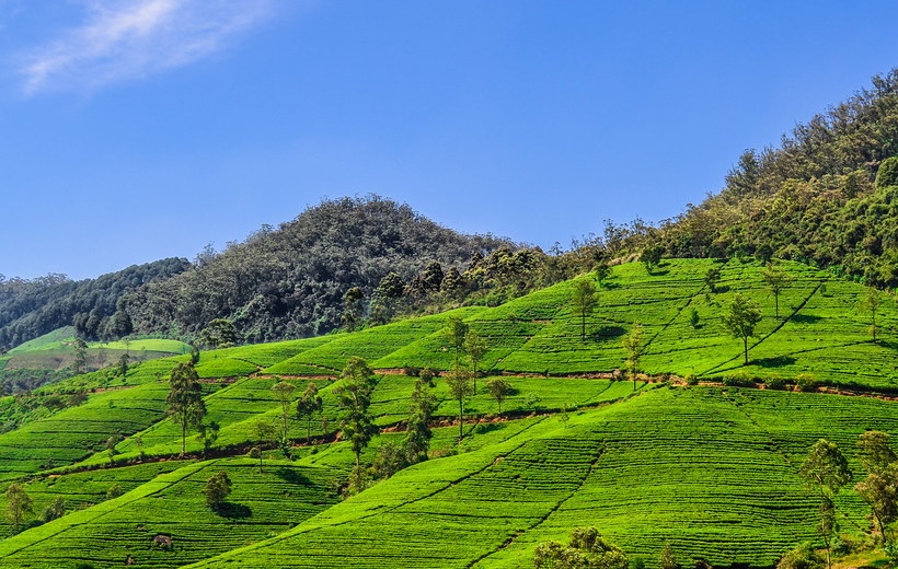 Nuwara Eliya